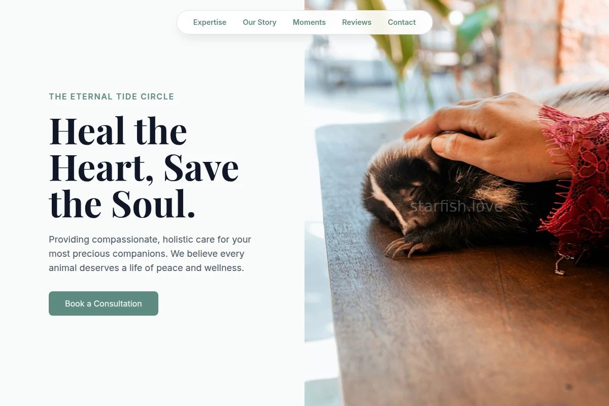 Starfish Animal Care