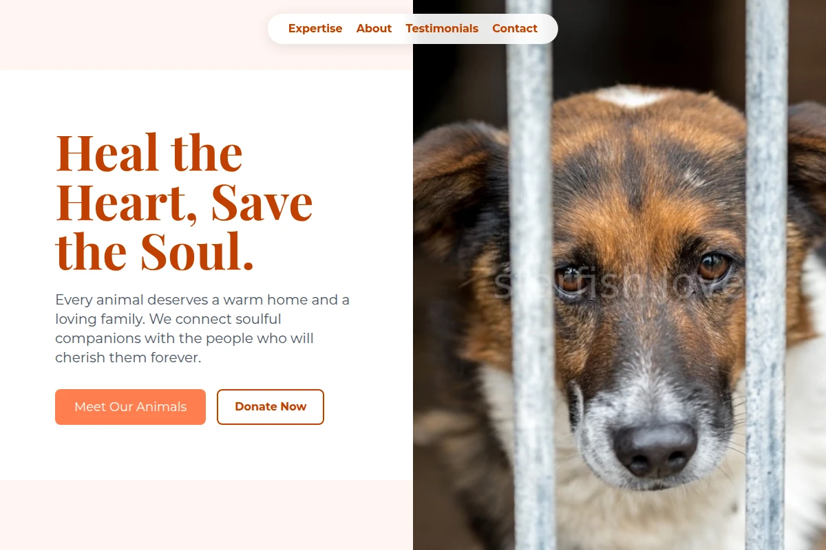 Foam Animal Shelter