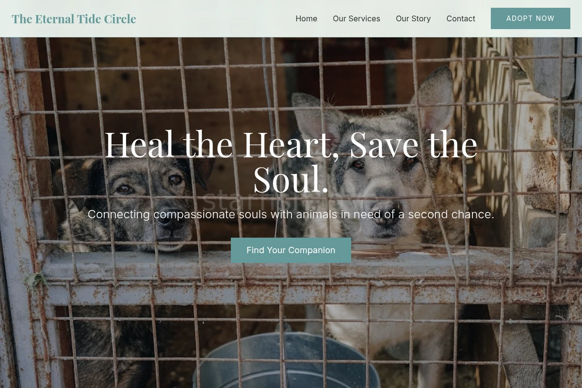 Care Animal Shelter
