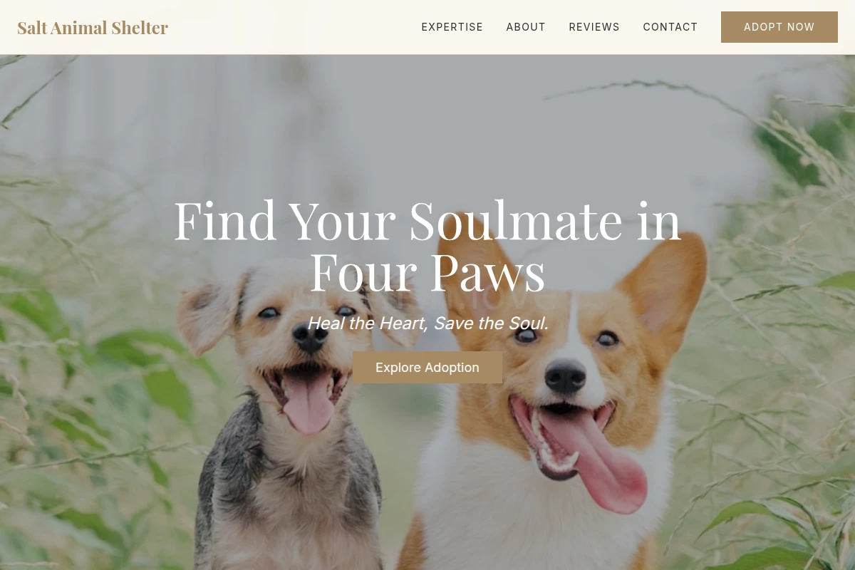 Salt Animal Shelter