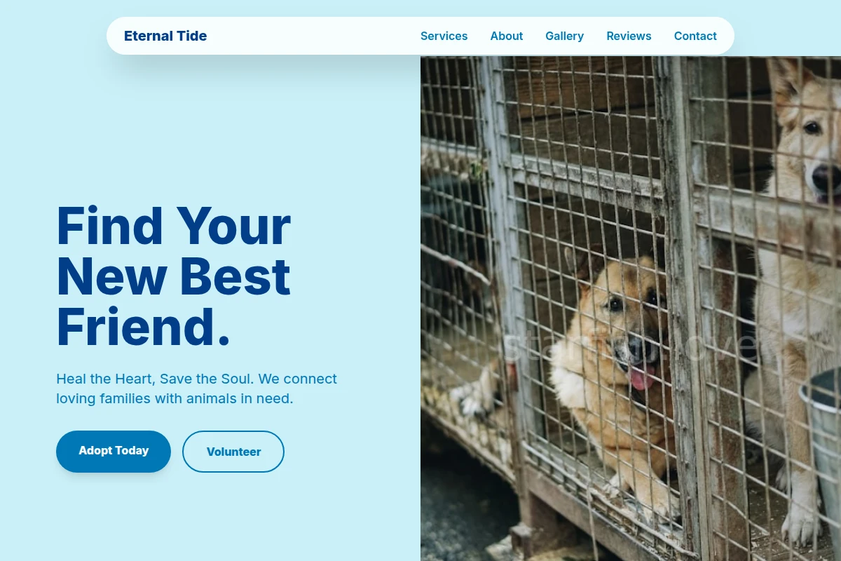 Current Animal Shelter