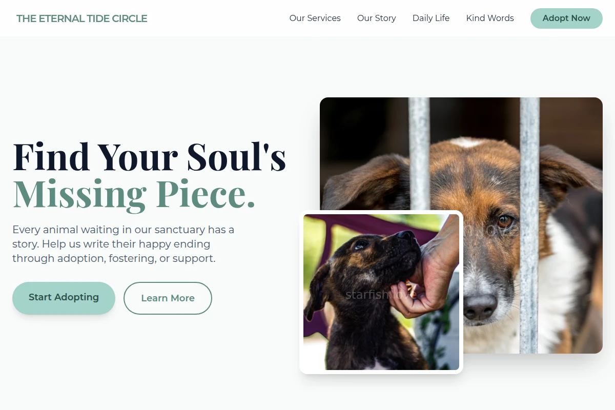 Anchor Animal Shelter