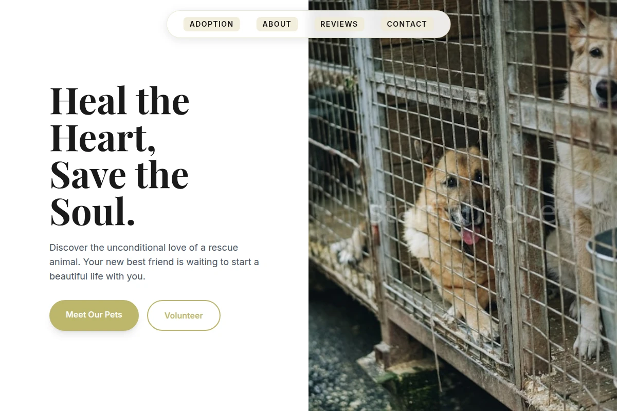 Compass Animal Shelter