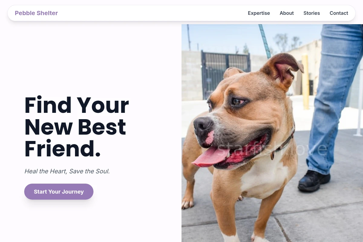 Pebble Animal Shelter