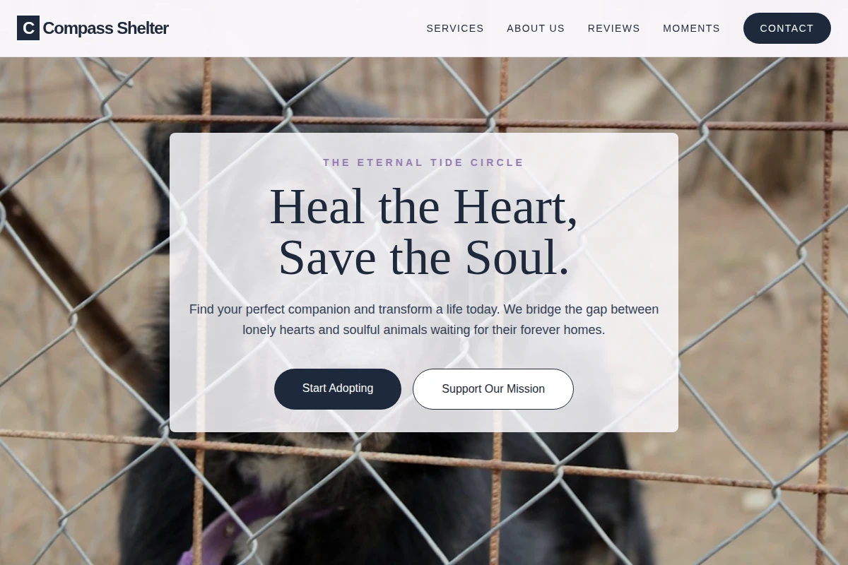 animal-shelter